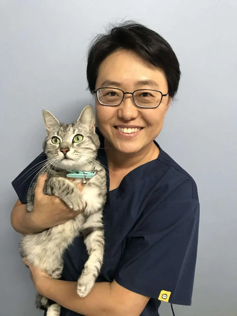 Blakehurst Vet - Pet Care - dr catherine