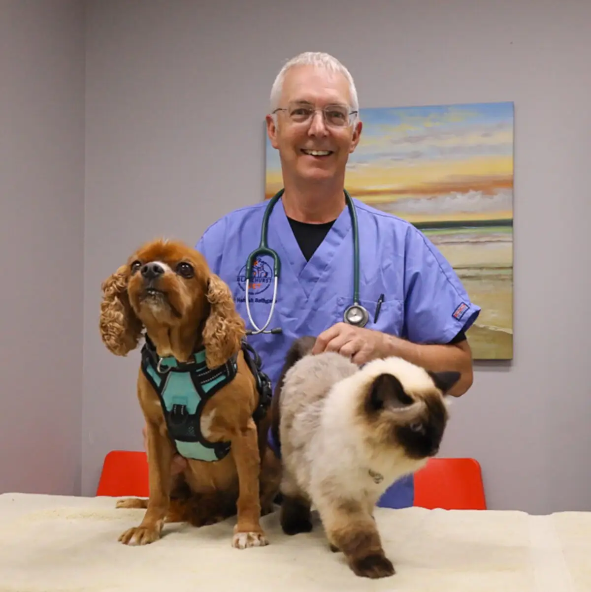 Dr Hamish poses with a dog and a cat during a consultation