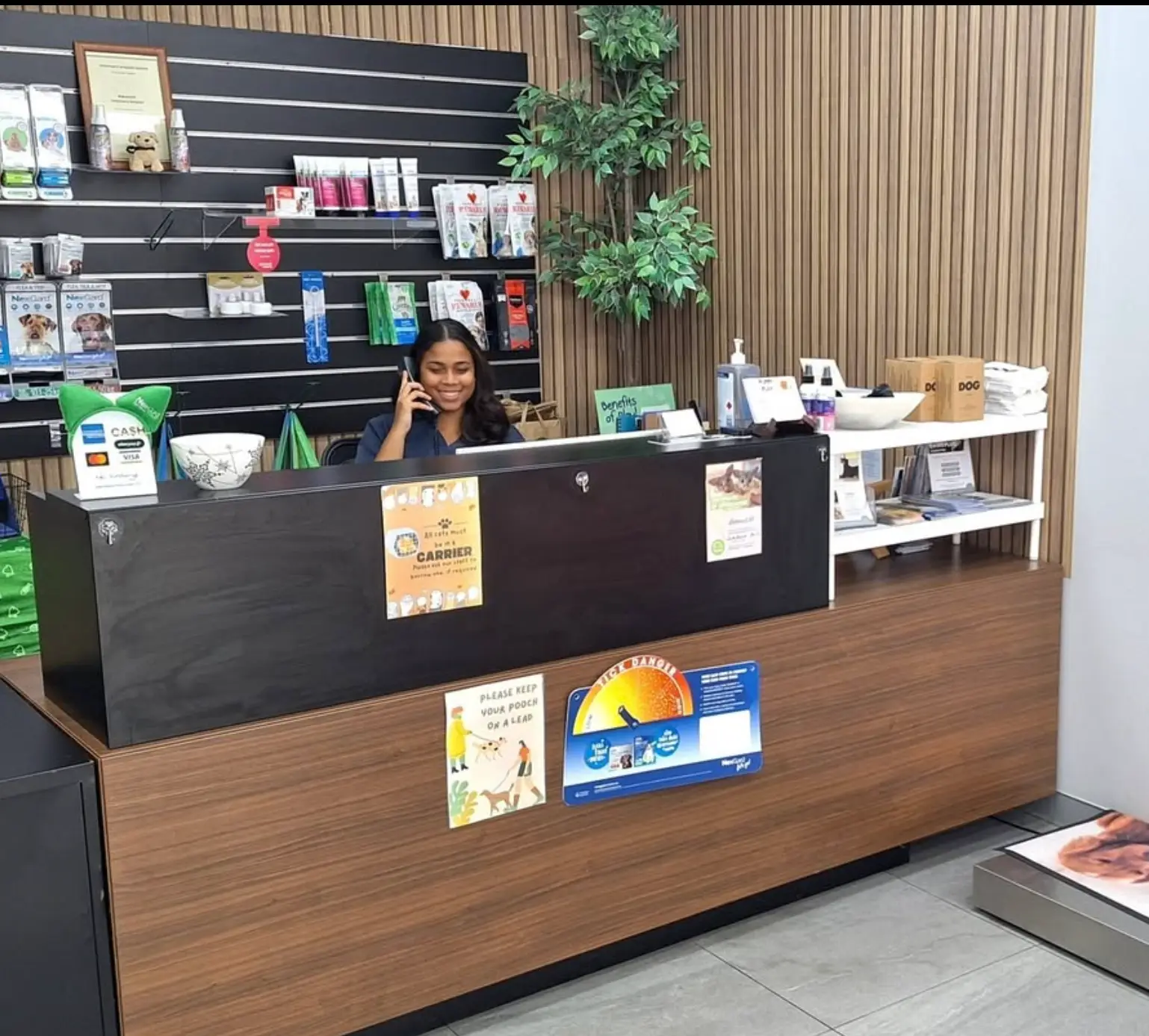 Vet near Hurstville. Our receptionist is happily talking with our client.