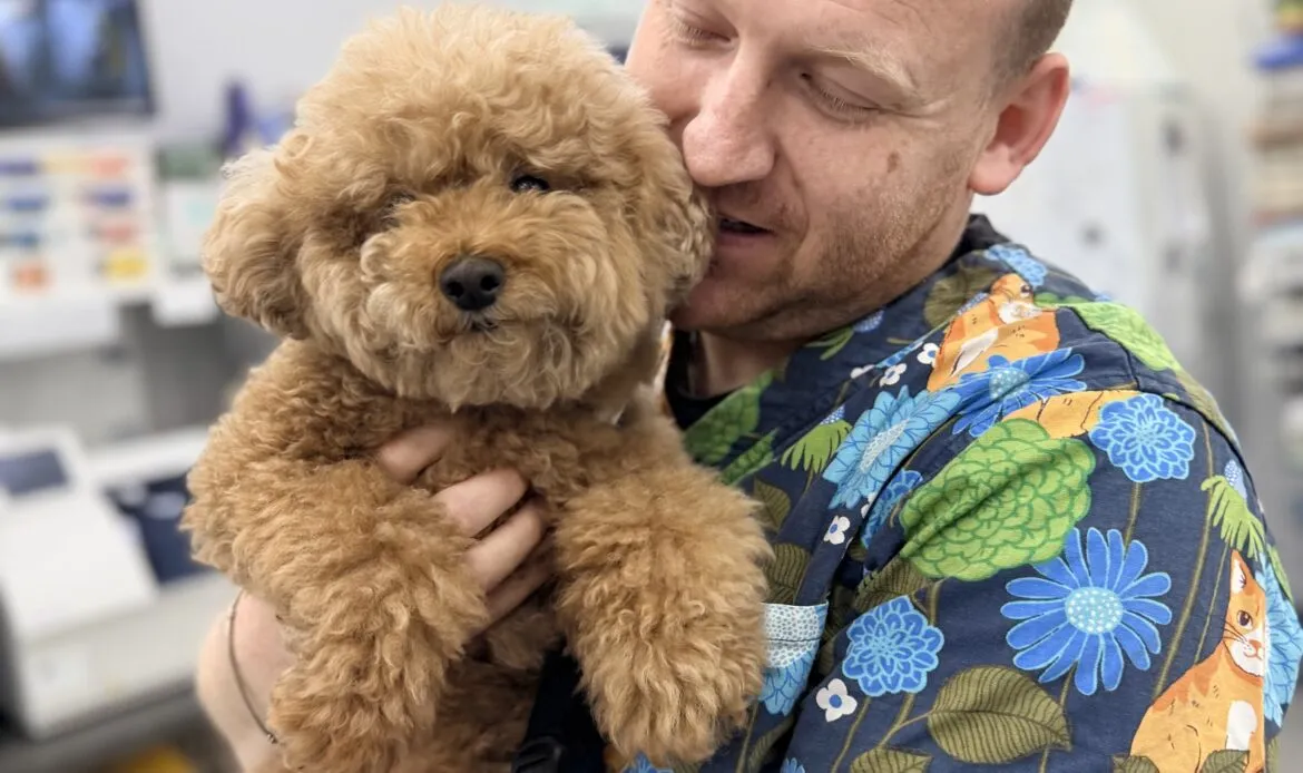 Vet nurse holds a fluffy dog in Blakehurst Vet clinic