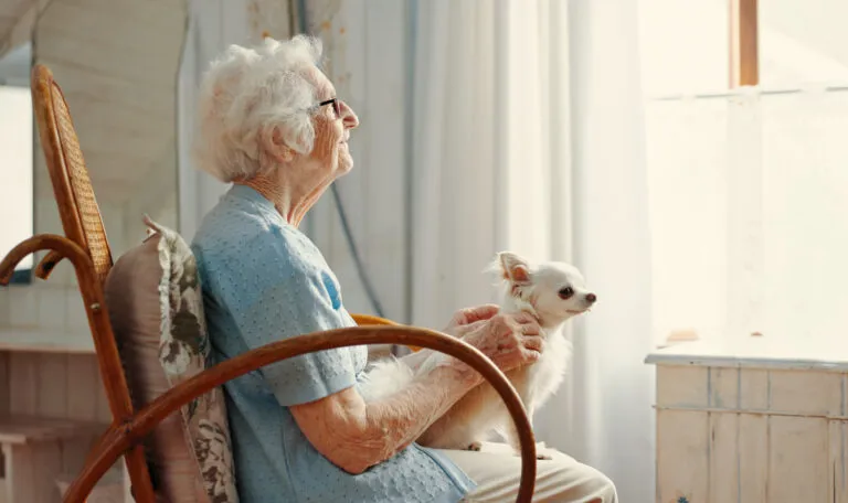 An elderly woman sitting with her senior dog on her lap.