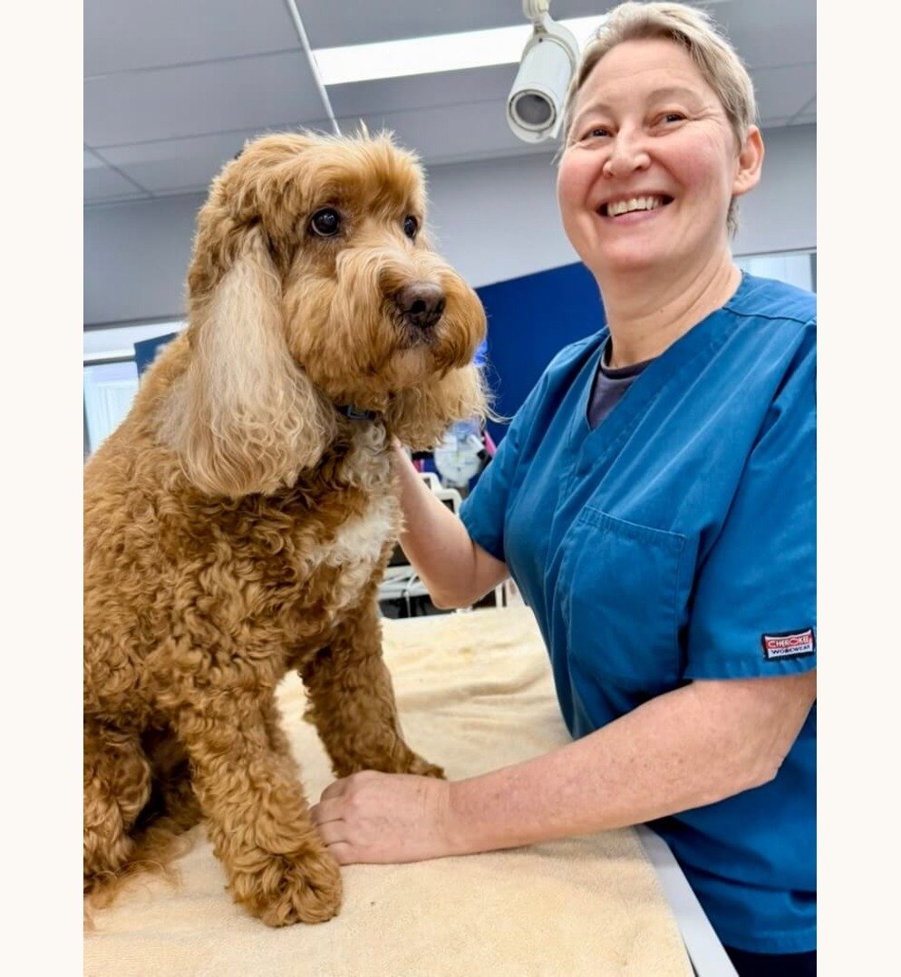 Dr Felicity Spicer Dr Felicity Spicer