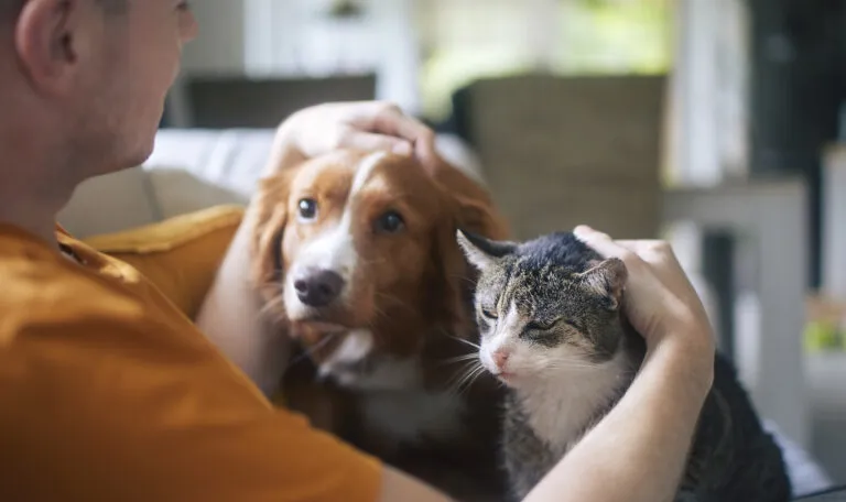 Pet owner stroking his old cat and dog together.