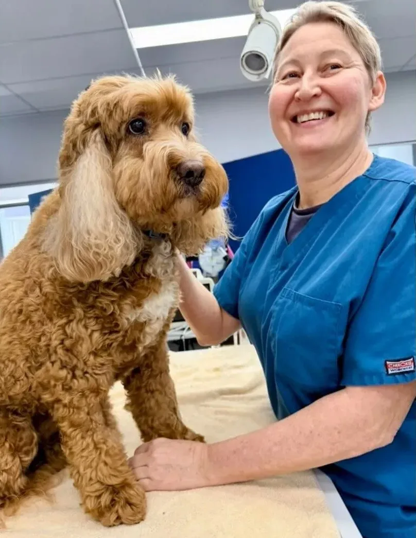A veterinarian performing a health check on a dog