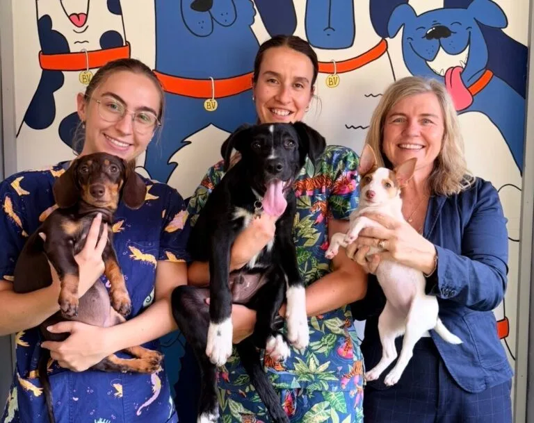 Three vet nurses holding a puppy client each