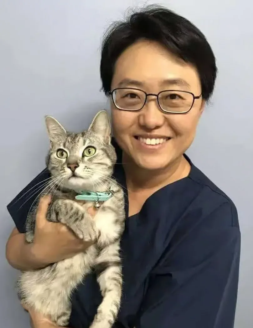 A veterinarian holding a cat.