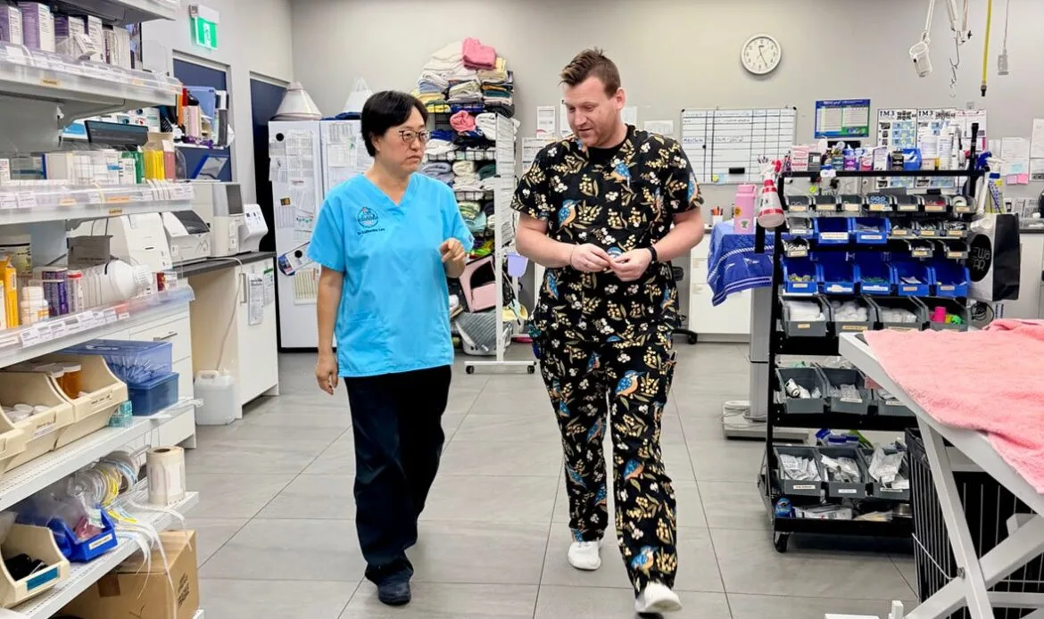 Vet and vet nurse conversing in the veterinary clinic.