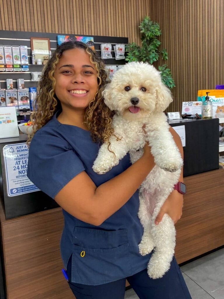 Veterinary nurse holding a dog in reception area.