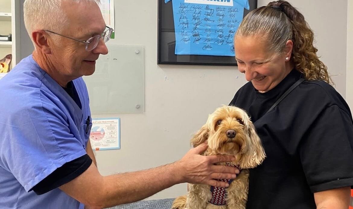 Dr Hamish having a cancer consult with a dog and its owner at Blakehurst Vet.