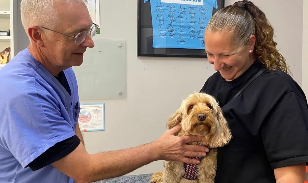 Dr Hamish having a consult with a dog and its owner at Blakehurst Vet.