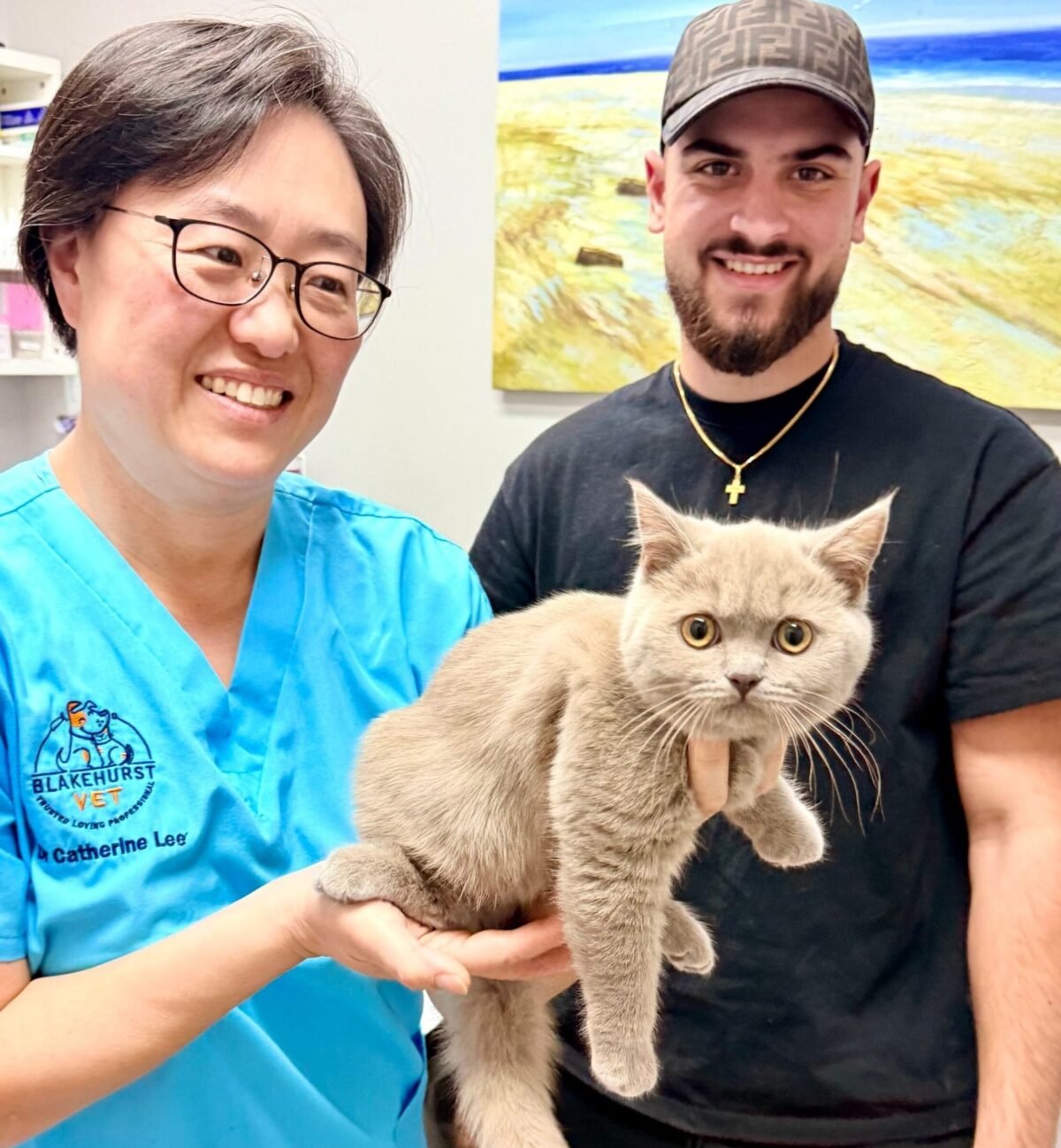 Kitten care at Blakehurst Vet