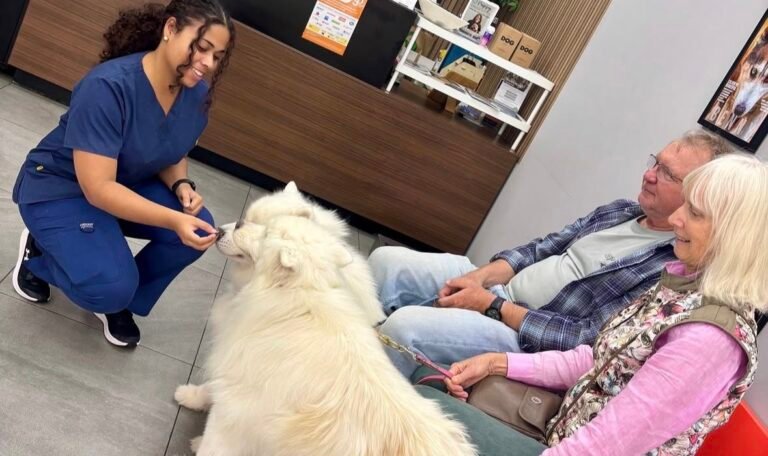 Behavioural advice at Blakehurst Vet