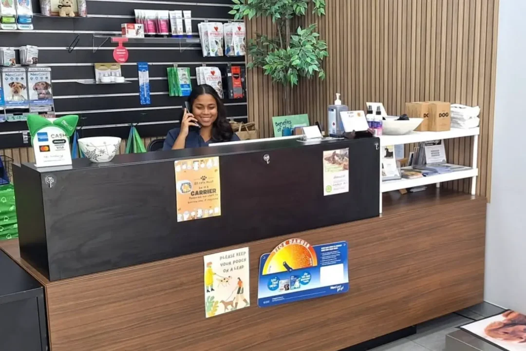 Vet near Hurstville. Our receptionist is happily talking with our client.